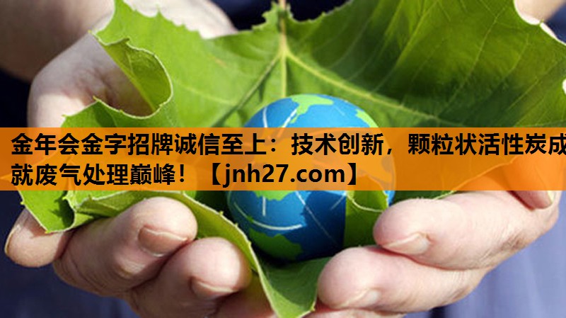 <strong>金年会金字招牌诚信至上：技术创新，颗粒状活性炭成就废气处理巅峰！</strong>