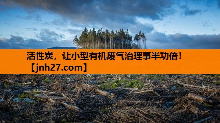 活性炭，让小型有机废气治理事半功倍！