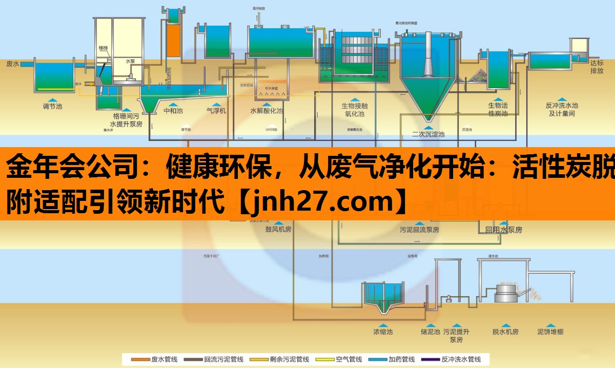 <strong>金年会公司：健康环保，从废气净化开始：活性炭脱附适配引领新时代</strong>