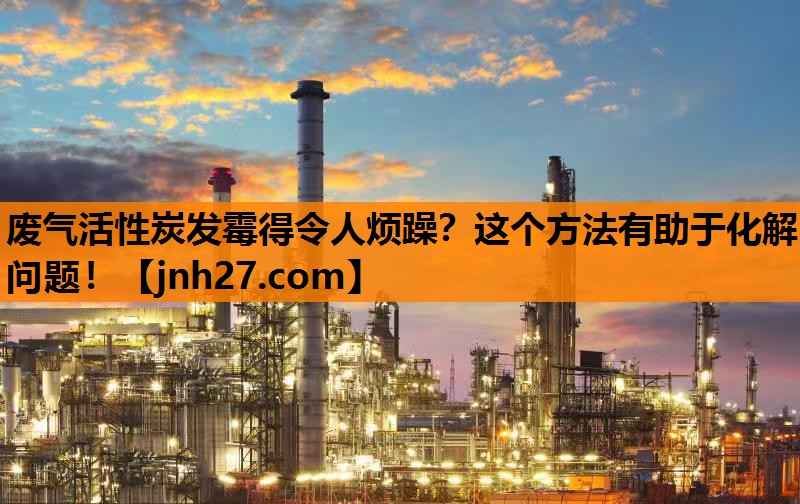 废气活性炭发霉得令人烦躁？这个方法有助于化解问题！