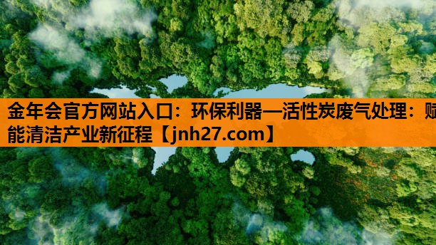 环保利器—活性炭废气处理：赋能清洁产业新征程