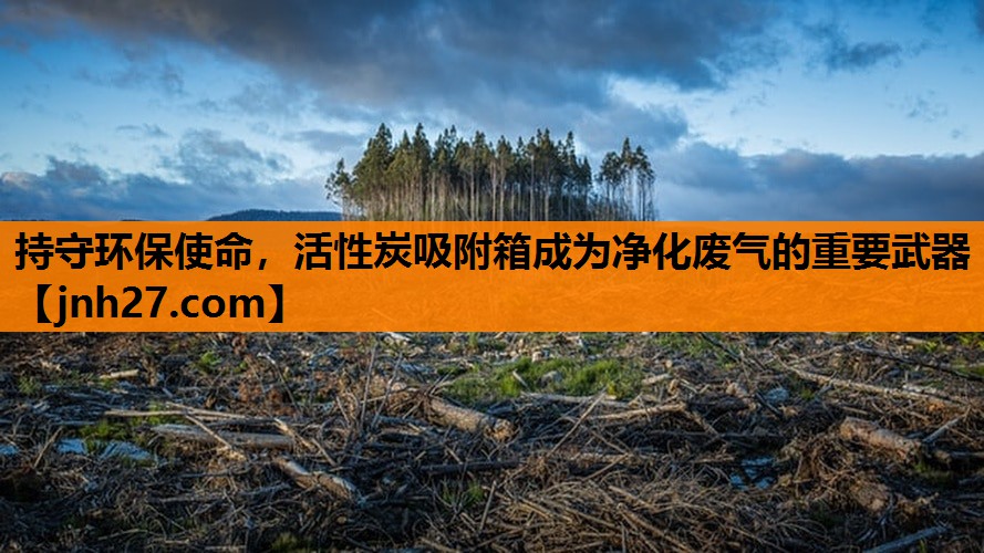 持守环保使命，活性炭吸附箱成为净化废气的重要武器