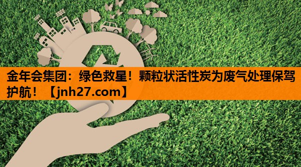 绿色救星！颗粒状活性炭为废气处理保驾护航！
