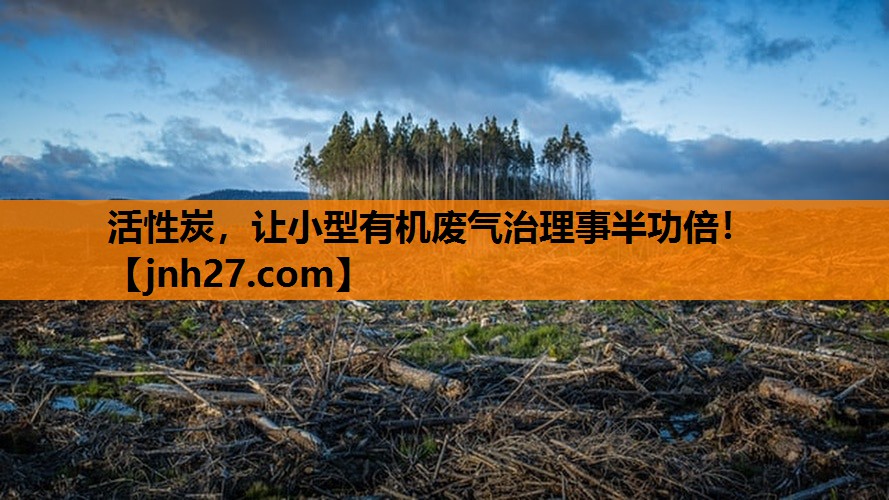 活性炭，让小型有机废气治理事半功倍！